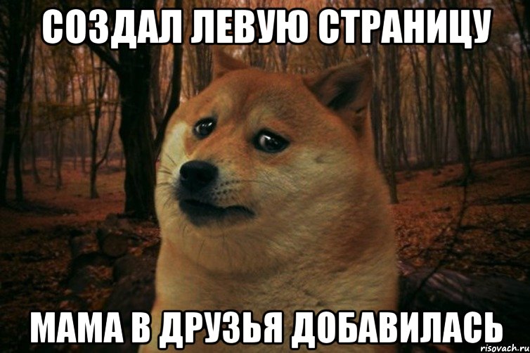 Создал левую страницу Мама в друзья добавилась, Мем SAD DOGE