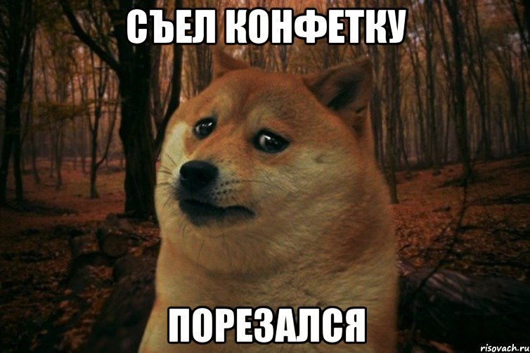 Съел конфетку Порезался, Мем SAD DOGE