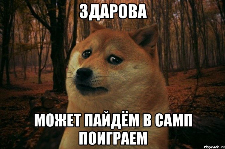 Здарова может пайдём в самп поиграем, Мем SAD DOGE