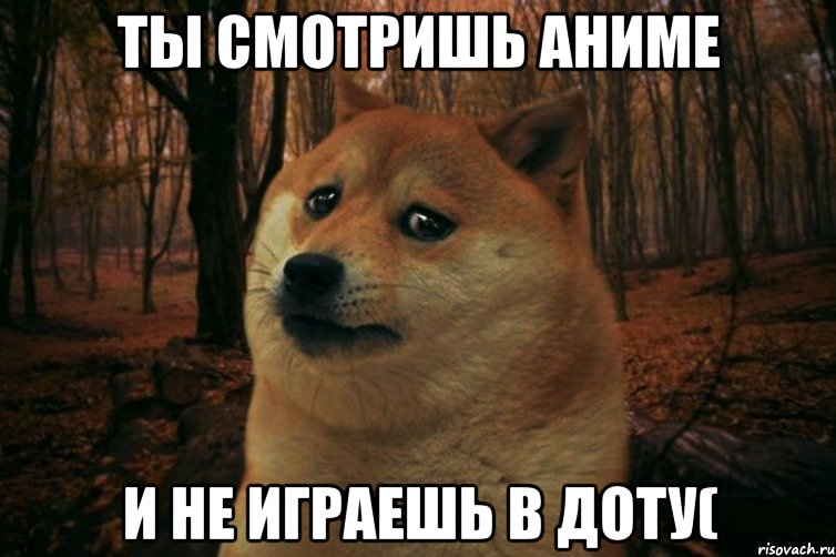 ты смотришь аниме и не играешь в доту(, Мем SAD DOGE