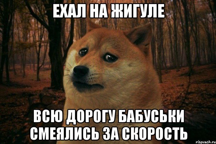 Ехал на Жигуле Всю дорогу бабуськи смеялись за скорость, Мем SAD DOGE