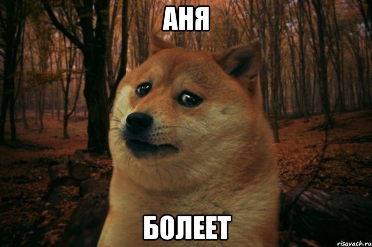 АНЯ БОЛЕЕТ, Мем SAD DOGE