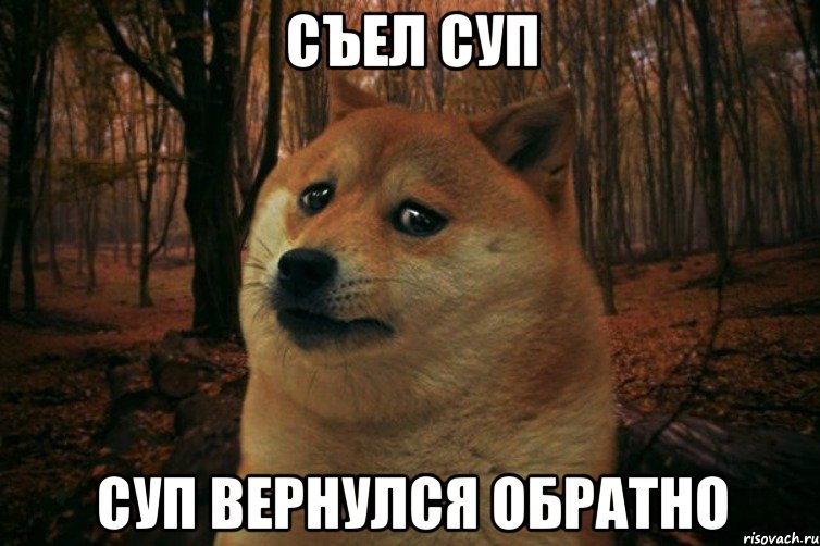 Съел суп Суп вернулся обратно, Мем SAD DOGE