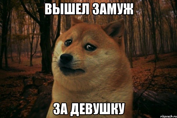 вышел ЗАМУЖ за Девушку, Мем SAD DOGE