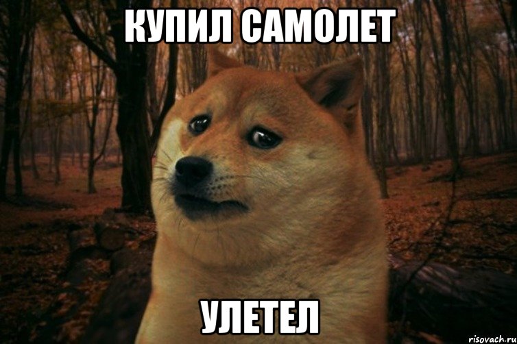 Купил самолет Улетел, Мем SAD DOGE