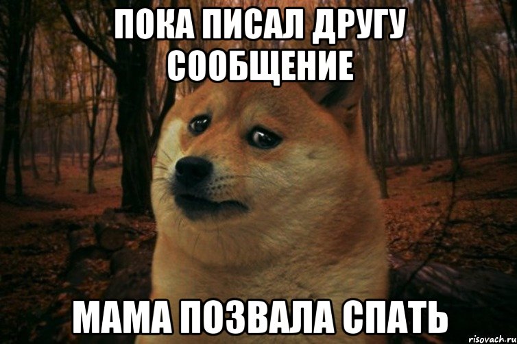 Пока писал другу сообщение Мама позвала спать, Мем SAD DOGE