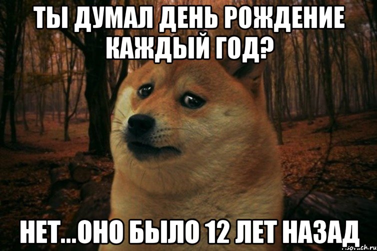 Ты думал день рождение каждый год? Нет...оно было 12 лет назад, Мем SAD DOGE