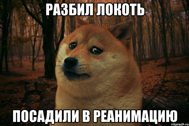 Разбил локоть Посадили в реанимацию, Мем SAD DOGE