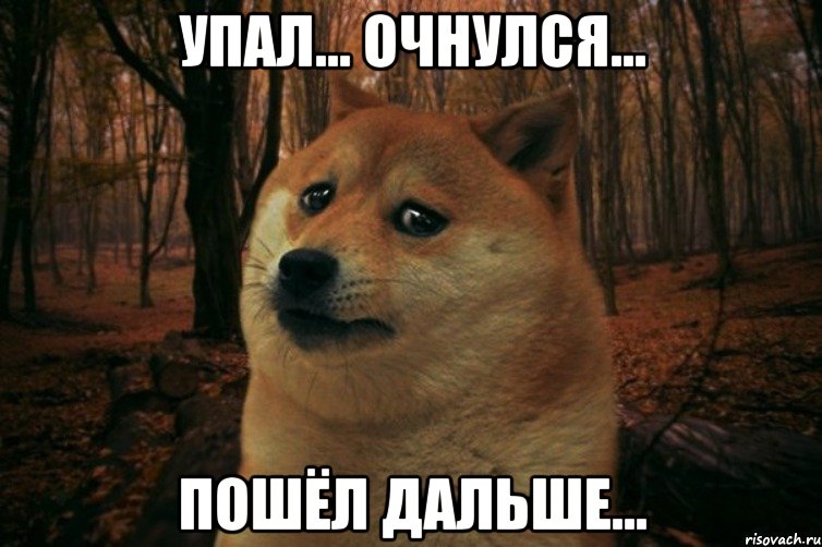 Упал... Очнулся... Пошёл дальше..., Мем SAD DOGE