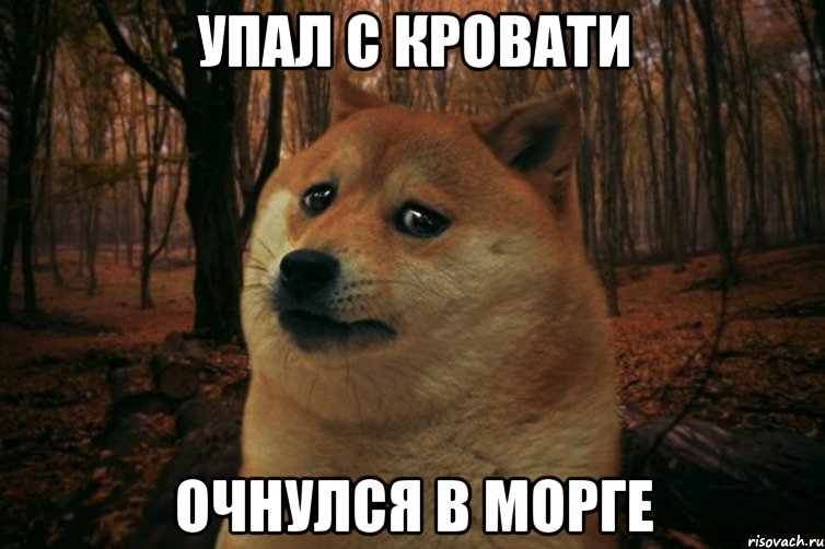 Упал с кровати Очнулся в морге, Мем SAD DOGE