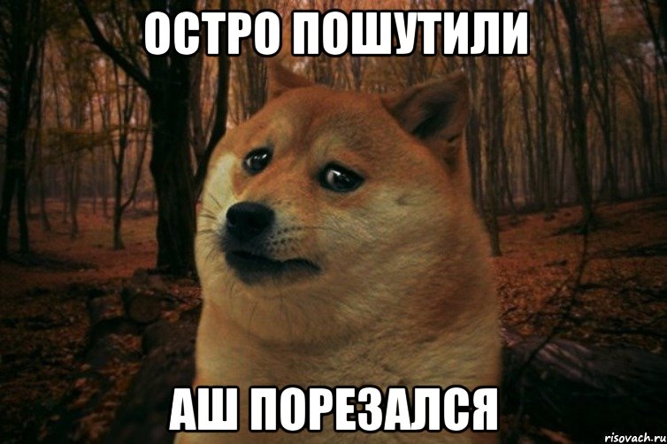 Остро пошутили Аш порезался, Мем SAD DOGE