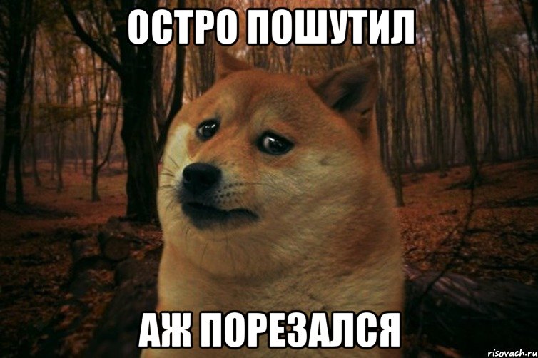 ОСТРО ПОШУТИЛ АЖ ПОРЕЗАЛСЯ, Мем SAD DOGE