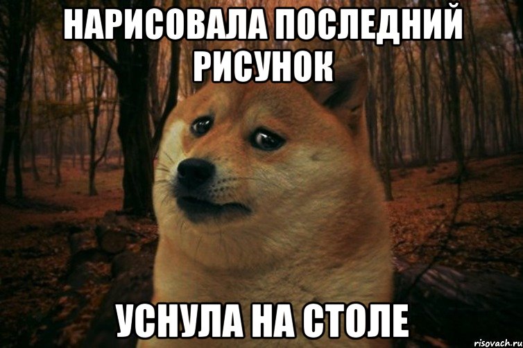 нарисовала последний рисунок уснула на столе, Мем SAD DOGE