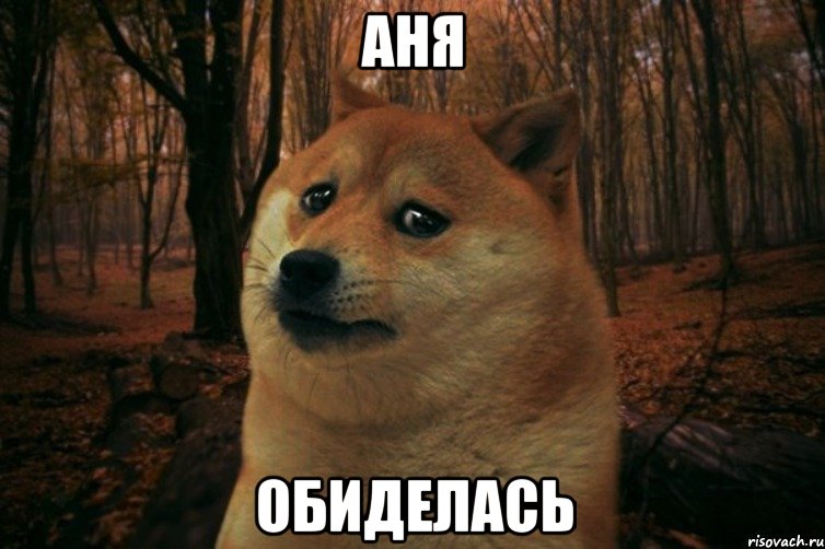 Аня Обиделась, Мем SAD DOGE