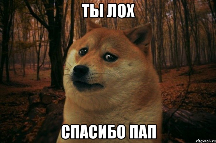 Ты лох Спасибо пап, Мем SAD DOGE