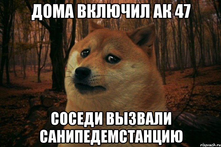 дома включил АК 47 соседи вызвали санипедемстанцию, Мем SAD DOGE