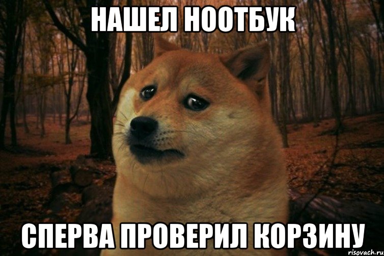 нашел ноотбук сперва проверил корзину, Мем SAD DOGE