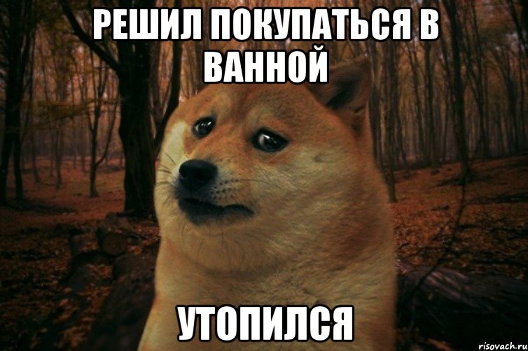 решил покупаться в ванной утопился, Мем SAD DOGE