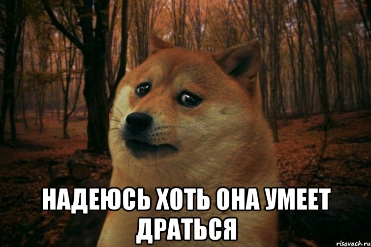  надеюсь хоть она умеет драться, Мем SAD DOGE