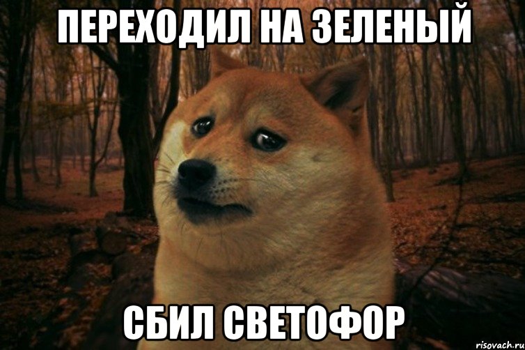 переходил на зеленый сбил светофор, Мем SAD DOGE