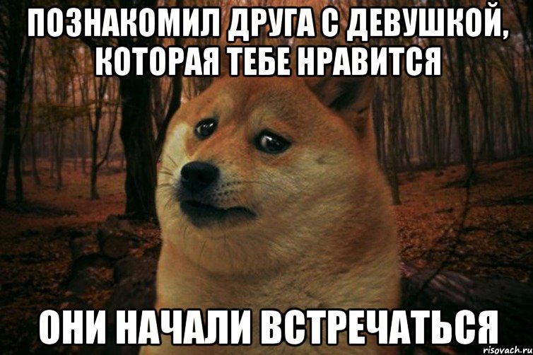 Познакомил друга с девушкой, которая тебе нравится Они начали встречаться, Мем SAD DOGE