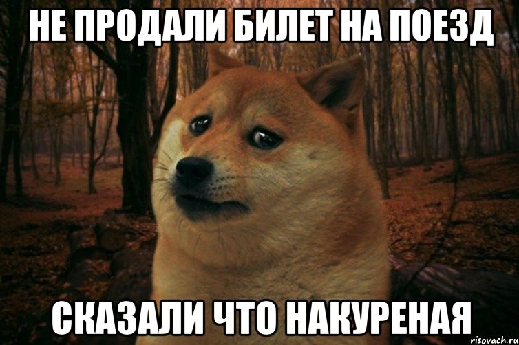 Не продали билет на поезд сказали что накуреная, Мем SAD DOGE