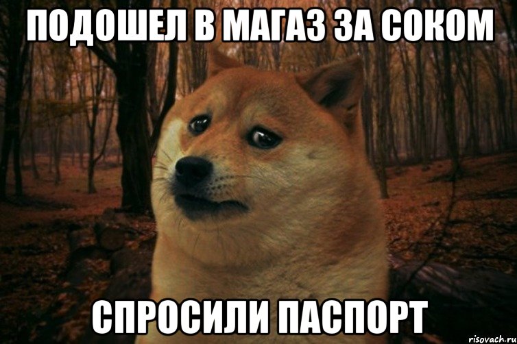 ПОдошел в магаз за соком спросили паспорт, Мем SAD DOGE