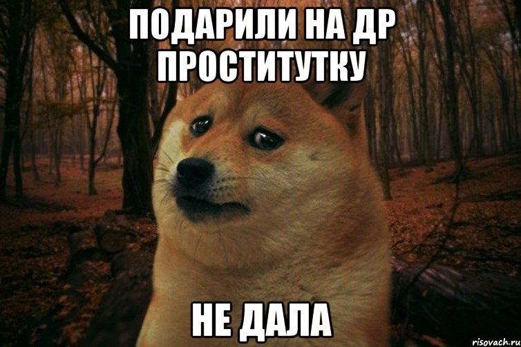 подарили на др проститутку не дала, Мем SAD DOGE