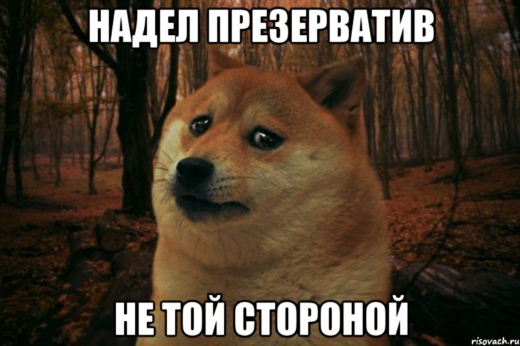 надел презерватив не той стороной, Мем SAD DOGE