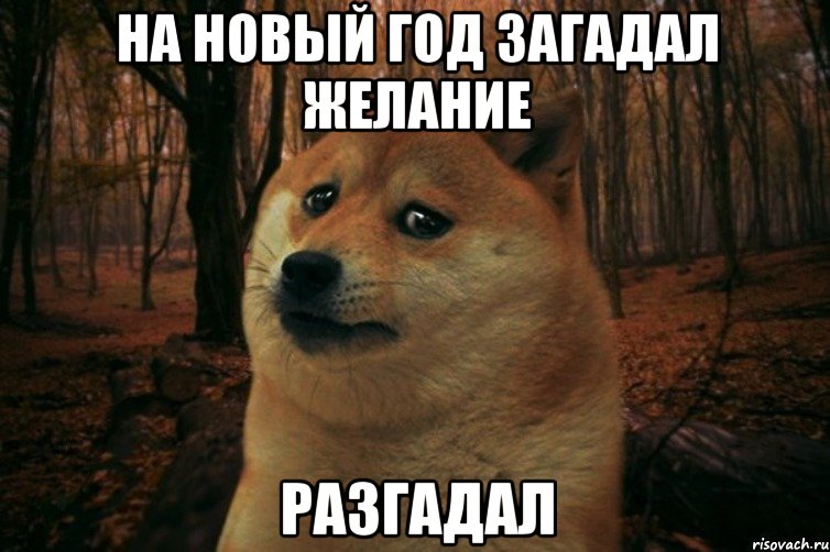 на новый год загадал желание разгадал, Мем SAD DOGE