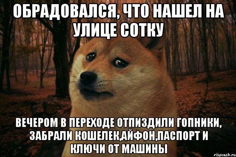 обрадовался, что нашел на улице сотку вечером в переходе отпиздили гопники, забрали кошелек,айфон,паспорт и ключи от машины, Мем SAD DOGE