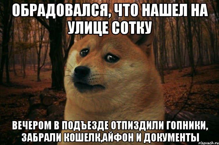 обрадовался, что нашел на улице сотку вечером в подъезде отпиздили гопники, забрали кошелк,айфон и документы, Мем SAD DOGE