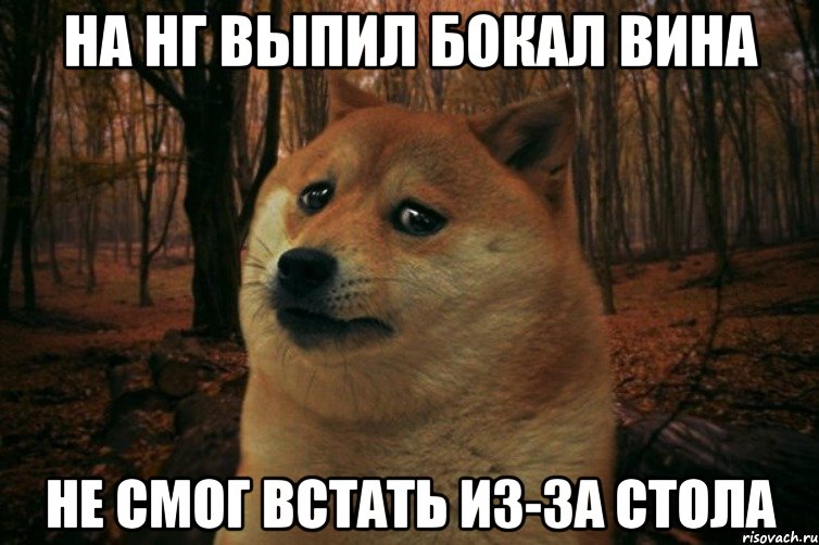 на нг выпил бокал вина не смог встать из-за стола, Мем SAD DOGE