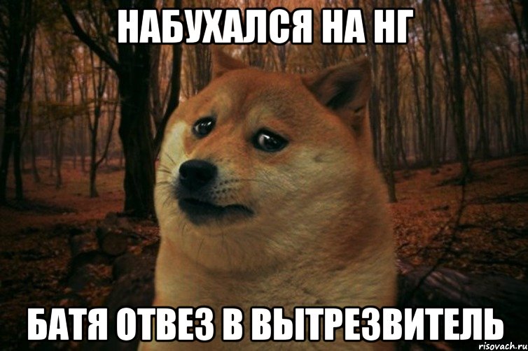 набухался на нг батя отвез в вытрезвитель, Мем SAD DOGE