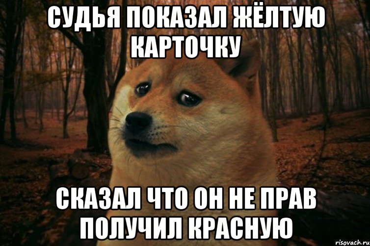 судья показал жёлтую карточку сказал что он не прав получил красную, Мем SAD DOGE