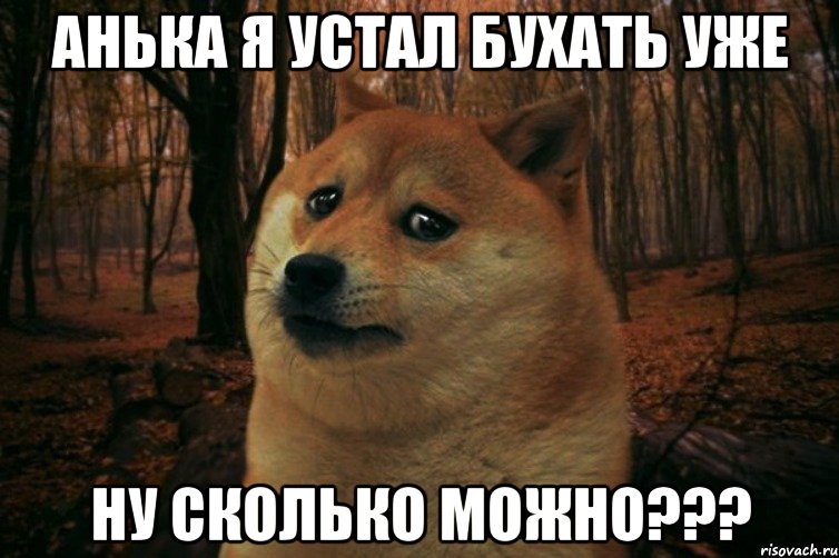 Анька я устал бухать уже Ну сколько можно???, Мем SAD DOGE