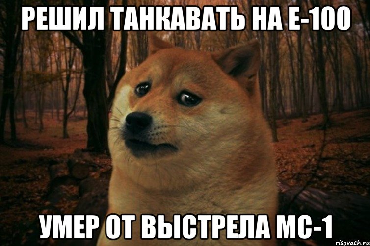 Решил танкавать на Е-100 умер от выстрела мс-1, Мем SAD DOGE