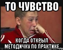 то чувство когда открыл методичку по практике, Мем  Сашок Фокин