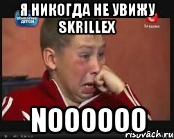 Я никогда не увижу Skrillex noooooo, Мем  Сашок Фокин