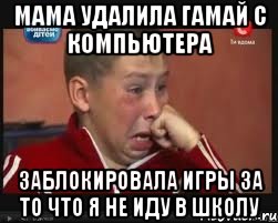 мама удалила гамай с компьютера заблокировала игры за то что я не иду в школу, Мем  Сашок Фокин