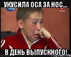 Укусила оса за нос... В день выпускного!, Мем  Сашок Фокин