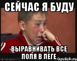 Сейчас я буду Выравнивать все поля в Пеге, Мем  Сашок Фокин