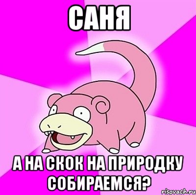 Саня а на скок на природку собираемся?, Мем слоупок