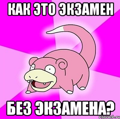 как это экзамен без экзамена?, Мем слоупок