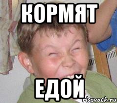 кормят едой