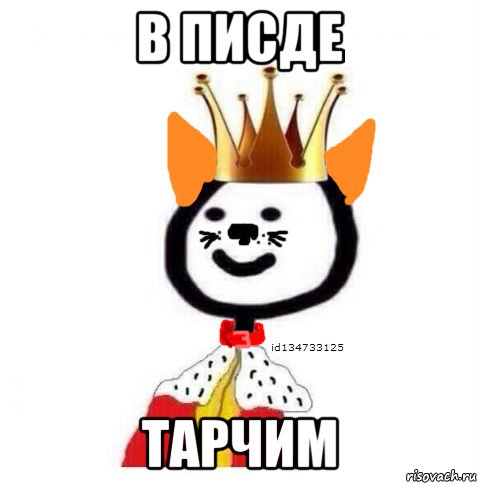В писде тарчим