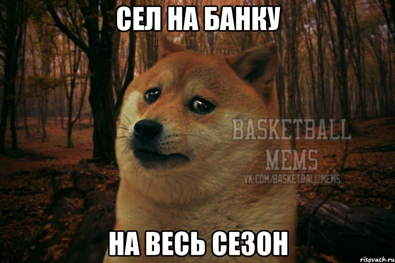 сел на банку на весь сезон, Мем Собака Basletball Mems