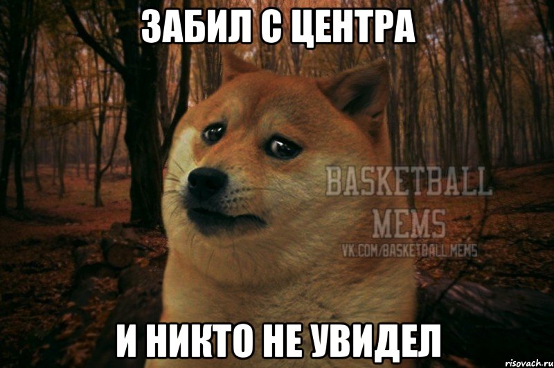 забил с центра и никто не увидел, Мем Собака Basletball Mems