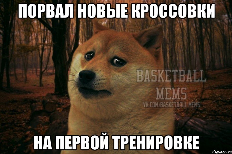 порвал новые кроссовки на первой тренировке, Мем Собака Basletball Mems