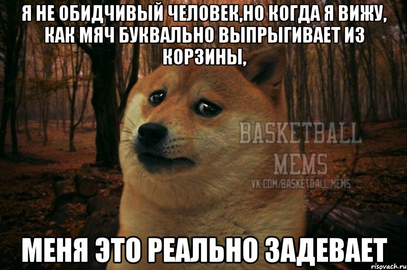 я не обидчивый человек,но когда я вижу, как мяч буквально выпрыгивает из корзины, меня это реально задевает, Мем Собака Basletball Mems